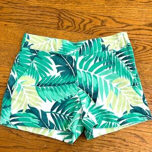 Janie and jack palms villa shorts
